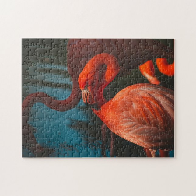 Puzzle Fotos de aves silvestres mejores: Aves rompe con p (Horizontal)