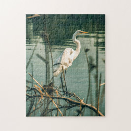 Puzzle Fotos de aves silvestres mejores: Aves rompe con p