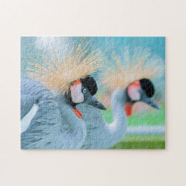 Puzzle Fotos de aves silvestres mejores: Aves rompe con p