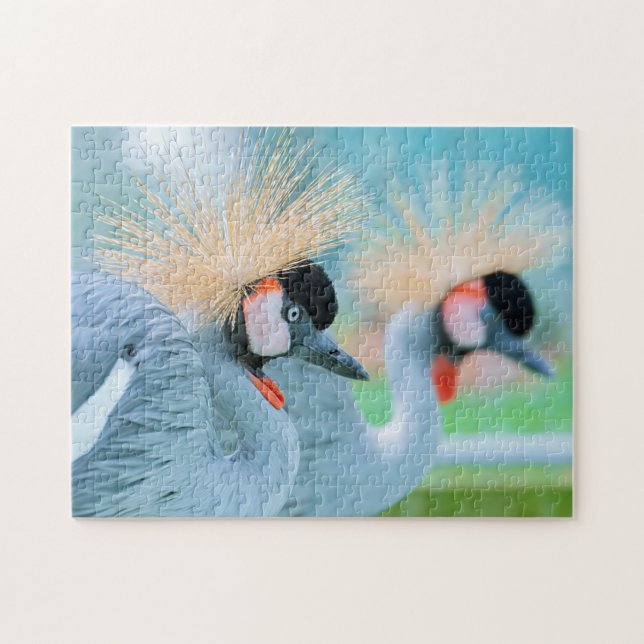 Puzzle Fotos de aves silvestres mejores: Aves rompe con p (Horizontal)