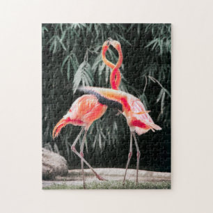 Puzzle Fotos de aves silvestres mejores: Aves rompe con p