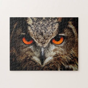 Puzzle Fotos de las mejores especies silvestres