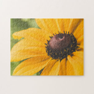 Puzzle Fotos del mejor girasol del Hardy amarillo