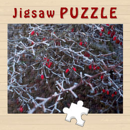Puzzle Fotos estética de Arbusto de Bayas Rojas en Invier