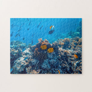 Puzzle Fotos náuticas Fotografía de animales marinos Fish