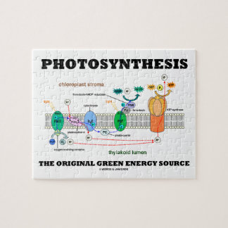 Puzzle Fotosíntesis la fuente de energía verde original