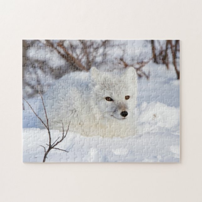 Puzzle Fox ártica en invierno (Horizontal)