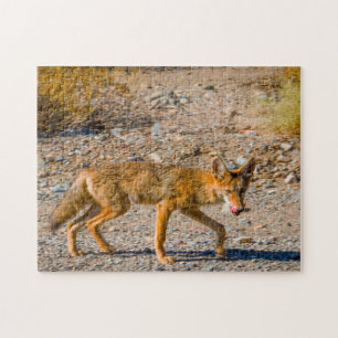 Puzzle Fox del Desierto del Valle de la Muerte.