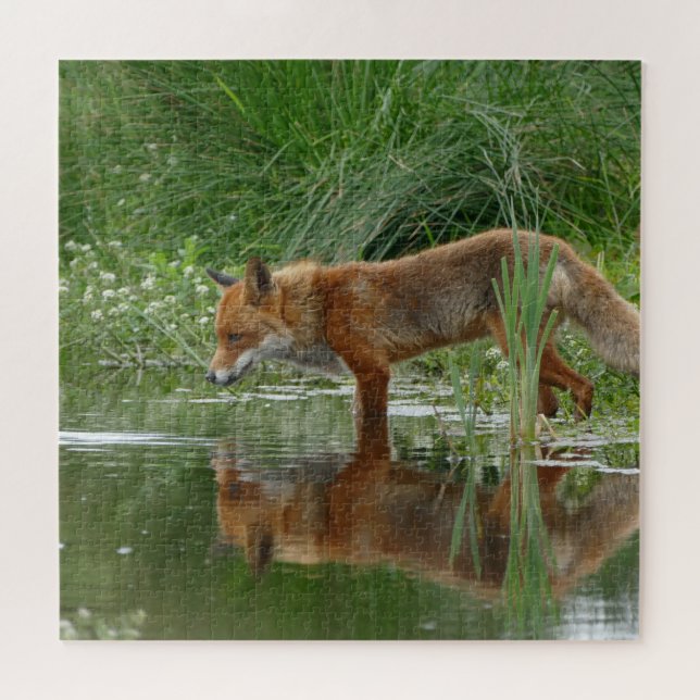 Puzzle Fox en estanque (Horizontal)
