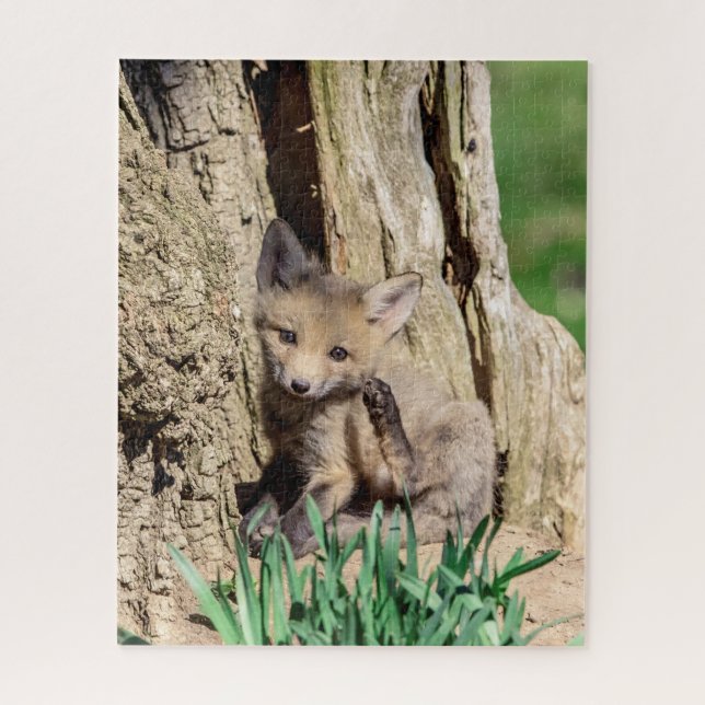 Puzzle Fox Kit en el Valle de Hudson (Vertical)