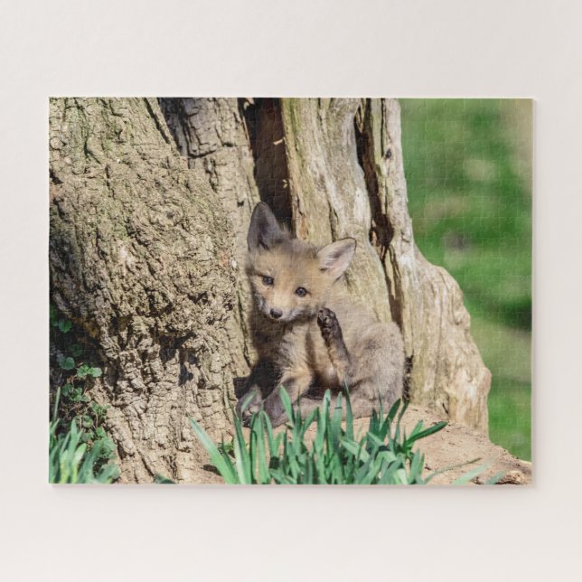 Puzzle Fox Kit en el Valle de Hudson (Horizontal)