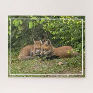 Puzzle Fox Kit Pals