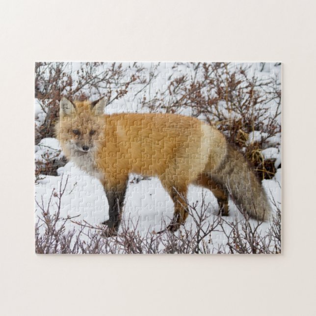 Puzzle Fox roja en la nieve en invierno (Horizontal)