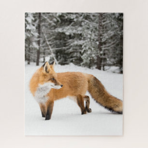 Puzzle Fox roja en nieve blanca