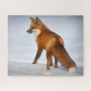 Puzzle Fox roja en nieve de invierno