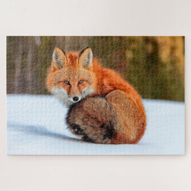 Puzzle Fox Rojo En Nieve | Yukón (Horizontal)