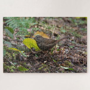 Puzzle Fox Sparrow