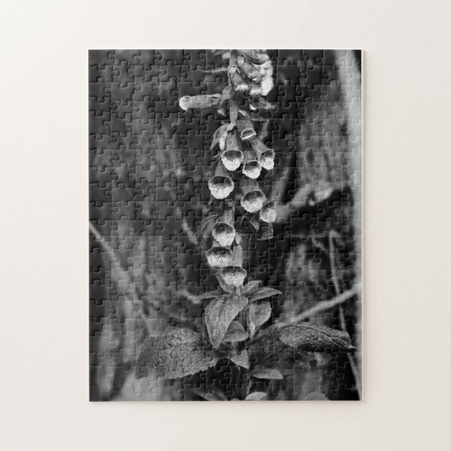 Puzzle Foxgloves (Vertical)