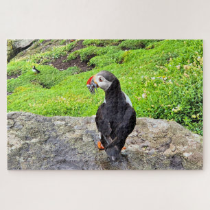 Puzzle Frailecillo con pescado en el pico, Irlanda