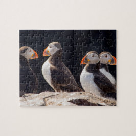 Puzzle Frailecillos