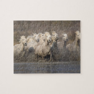 Puzzle Francia, Provenza. Caballos blancos de Camargue co
