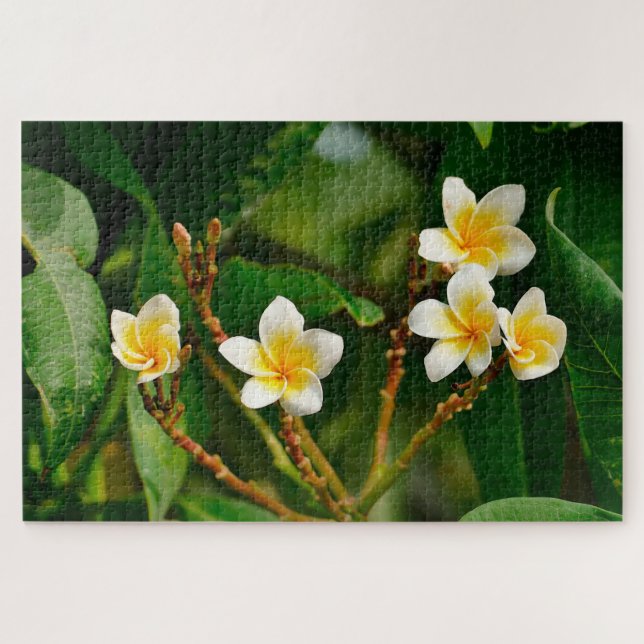Puzzle Frangipani amarillo (Horizontal)