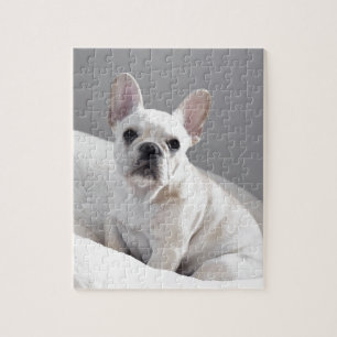 Puzzle Frenchie poner crema