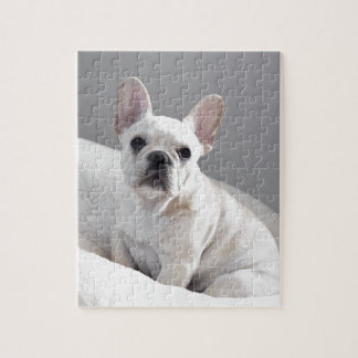 Puzzle Frenchie poner crema