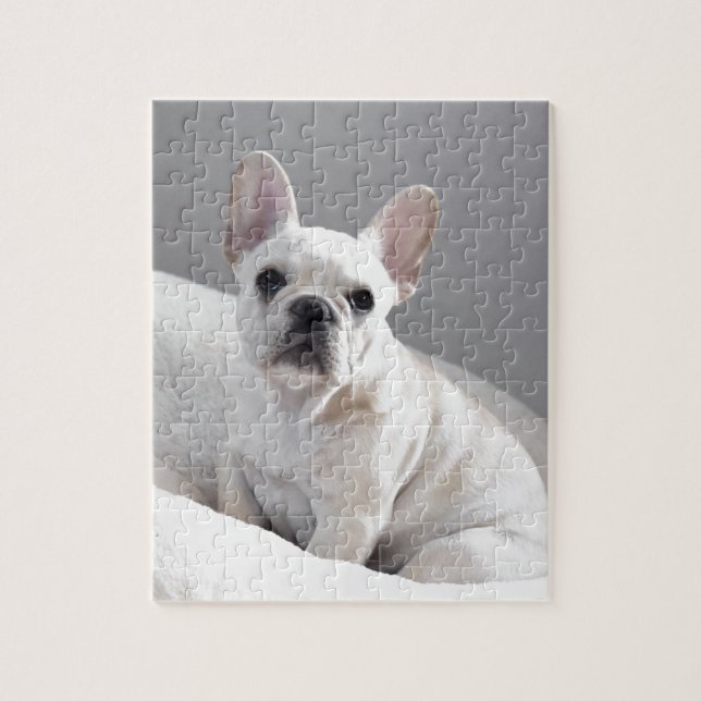 Puzzle Frenchie poner crema (Vertical)