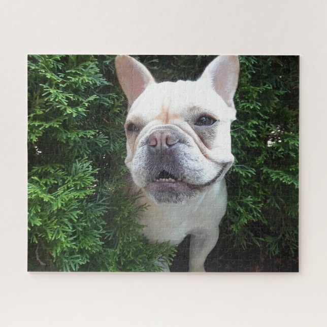 Puzzle Frenchy en patrulla (Horizontal)