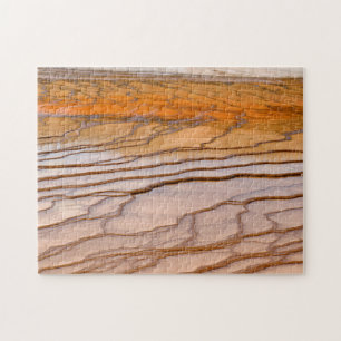 Puzzle Fresas Bacterianas de las Fuentes Termales de YNP 