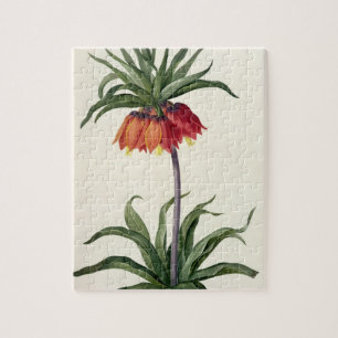 Puzzle Fritillaria Imperialis de, "Les Lilacees", 1802-