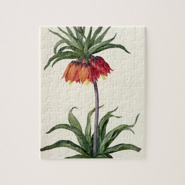 Puzzle Fritillaria Imperialis de, "Les Lilacees", 1802- (Vertical)