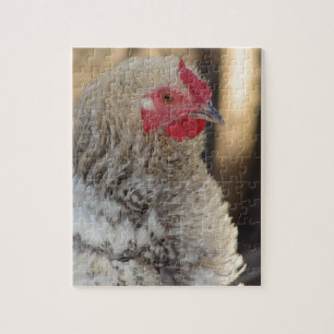Puzzle Frizzle Rooster