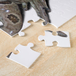 Puzzle Frog Prince (Añadir tu texto)