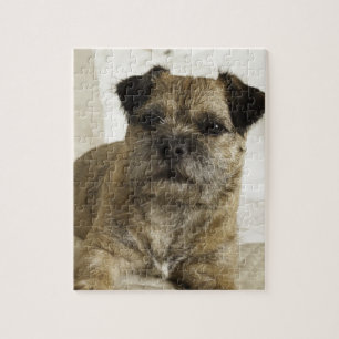 Puzzle Frontera Terrier