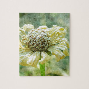 Puzzle Frosty Zinna