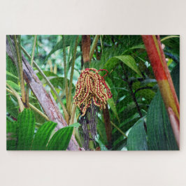 Puzzle Fruta de Palma en Hawái