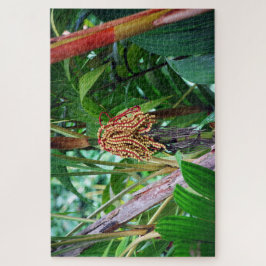 Puzzle Fruta de Palma en Hawái