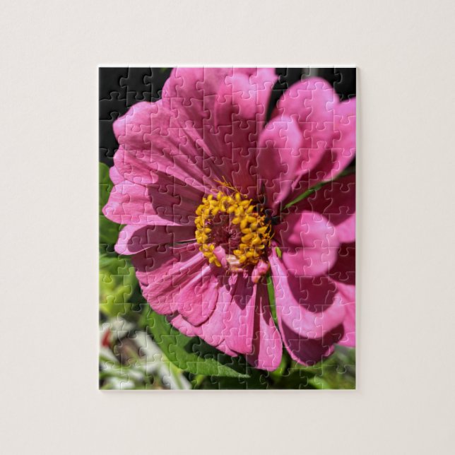 Puzzle Fuchsia Zinnia Flower Close-Up (Vertical)