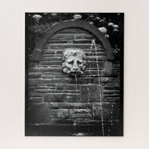 Puzzle Fuente del León