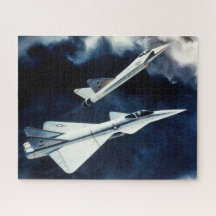 Fuerza Aérea de Estados Unidos =Concepto de Combat