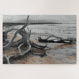 Puzzle Fuerzas Naturales del Lago Tyrrell