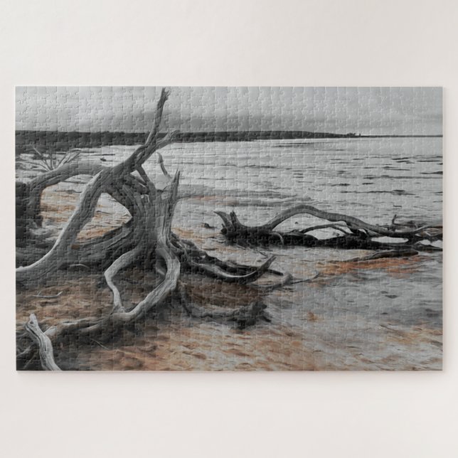 Puzzle Fuerzas Naturales del Lago Tyrrell (Horizontal)