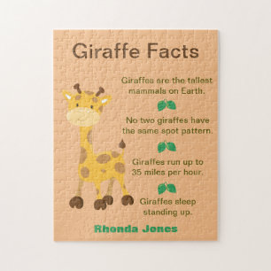 Puzzle Fun Giraffe Hechos