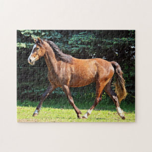 Puzzle Funcionamiento del caballo de Brown