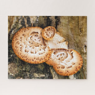 PUZZLE FUNGI