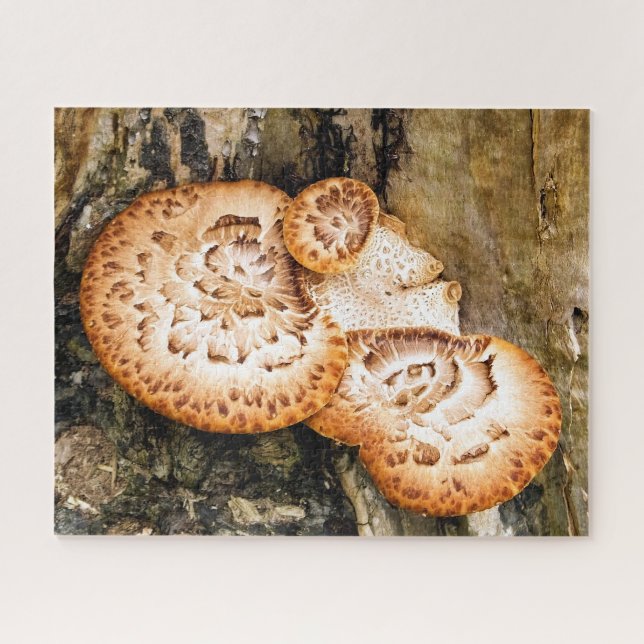 PUZZLE FUNGI (Horizontal)