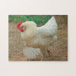 Puzzle Funky Chicken Hen Hy Line Silver Brown