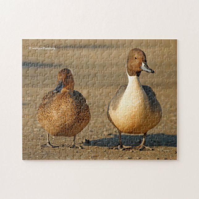 Puzzle Funny American / Northern Pintail Ducks Gothic (Horizontal)